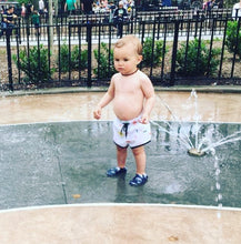 Load image into Gallery viewer, Dinosaurs